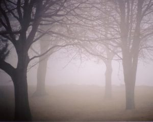 see through fog cloud 5e see through fog cloud 5e
